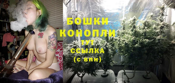 дмт Майский