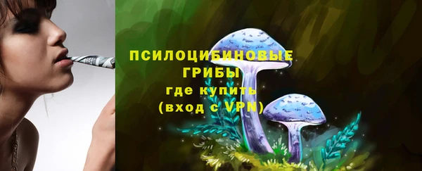 дмт Майский